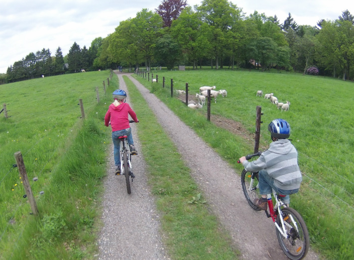 Mountainbiken op de Veluwe
